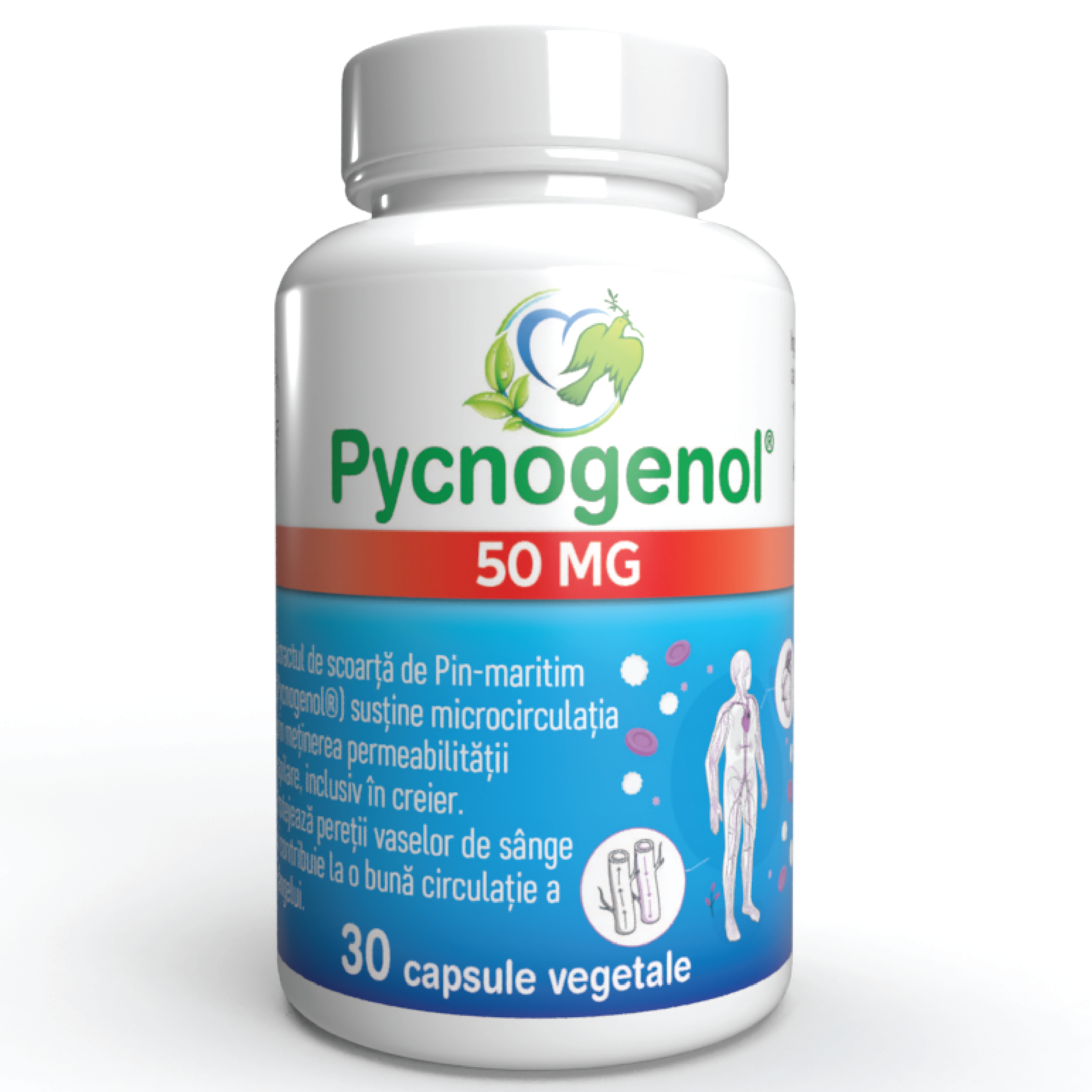 Pycnogenol 50 mg 30 Vegetable Capsules - image 3